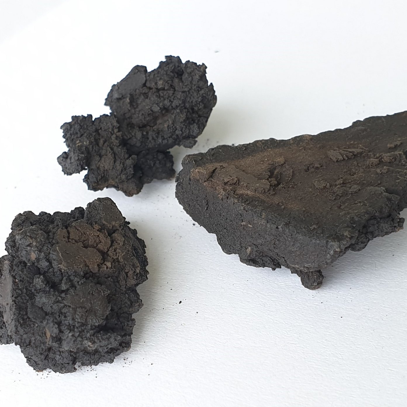 Coal from biomass using hydrothermal carbonization (HTC)